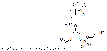 CAS 登录号:85284-79-3, 1-Palmitoyl-2-(4-Doxylpentanoyl)Glycerophosphocholine