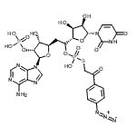 CAS#: 85977-19-1， 9-{(6S)-6-O-[{[2-(4-Azidophenyl)-2-oxoethyl]sulfanyl}(hydroxy)phosphoryl]-5-deoxy-6-C-[(2S,3S,4R,5R)-5-(2,4-dioxo-3,4-dihydro-1(2H)-pyrimidinyl)-3,4-dihydroxytetrahydro-2-furanyl]-2-O-phosphono-beta-D -ribo-hexofuranosyl}-9H-purin-6-amine