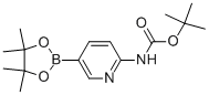 structure of CAS# 910462-31-6, 2-(tert-Butoxycarbonylamino)pyridine-5-boronic acid pinacol ester;Carbamic Acid, N-[5-(4,4,5,5-Tetramethyl-1,3,2-Dioxaborolan-2-Yl)-2-Pyridinyl]-, 1,1-Dimethylethyl Ester;[5-(4,4,5,5-Tetramethyl-[1,3,2] Dioxaborolan-2-Yl)Pyridin-2-Yl]Carbamic Acid Tert-Butyl Ester;Tert-Butyl 5-(4,4,5,5-Tetramethyl-1,3,2-Dioxaborolan-2-Yl)Pyridin-2-Ylcarbamate