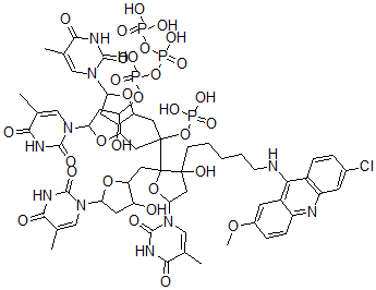 CAS#: 91401-15-9， 2-Methoxy-6-Chloro-9-Aminoacridinyl-N-Pentamethylenetetrathymidylic Acid