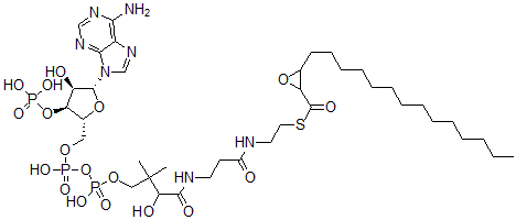 CAS#: 92142-38-6， 2-Tetradecylglycidyl-Coenzyme A