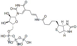 CAS#: 92999-28-5， 5-(N-Biotinyl-3-Aminoallyl)Uridine 5'-Triphosphate