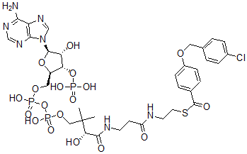 CAS 登录号：93604-15-0， 4-(4'-氯苄氧基)苯甲酰基-辅酶 A