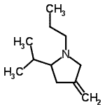 CAS#: 94956-96-4， 2-Isopropyl-4-methylene-1-propylpyrrolidine