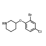 CAS#: 954225-61-7， 3-(2-Bromo-4-chlorophenoxy)piperidine