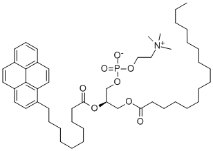 CAS#: 95864-17-8， beta-(Pyren-1-Yl)Decanoyl-gamma-Palmitoyl-L-alpha-Phosphatidylcholine