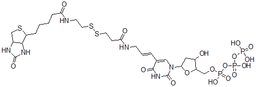 CAS#: 97068-12-7， [[[5-[2,4-Dioxo-5-[(E)-3-[3-[2-[5-(7-Oxo-3-Thia-6,8-Diazabicyclo[3.3.0 ]Oct-2-Yl)Pentanoylamino]Ethyldisulfanyl]Propanoylamino]Prop-1-Enyl]Pyrimidin-1-Yl]-3-Hydroxy-Oxolan-2-Yl]Methoxy-Hydroxy-Phosphoryl]Oxy-Hydroxy-Phosphoryl]Oxyphosphonic Acid