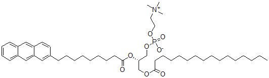CAS#: 97992-77-3， 1-Palmitoyl-2-(9-(2-Anthryl)Nonanoyl)Glycero-3-Phosphocholine