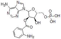 CAS#: 98033-20-6， 2'-O-Anthraniloyl adenosine monophosphate