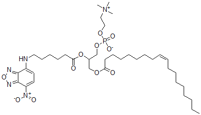 CAS 登录号:99566-32-2, 1-油酰基-2-(7-(4-硝基苯并-2-氧杂-1,3-二唑))-6-氨基己酰磷脂酰胆碱