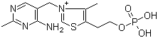 3-[(4-氨基-2-甲基-5-嘧啶基)甲基]-4-甲基-5-[2-(磷酰氧基)乙基]噻唑鎓分子结构 (CAS 10023-48-0)