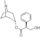structure of CAS# 101-31-5, L-Hyoscyamine;L-Atropine; (8-Methyl-8-azabicyclo[3.2.1]octan-3-yl) (2S)-3-hydroxy-2-phenylpropanoate