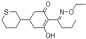 Cycloxydim molecular structure (CAS 101205-02-1)