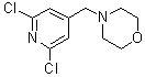 structure of CAS# 1015844-22-0, 4-[(2,6-Dichloro-4-pyridinyl)methyl]morpholine