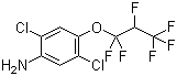 2,5-二氯-4-(1,1,2,3,3,3-六氟丙氧基)苯胺分子结构 (CAS 103015-84-5)