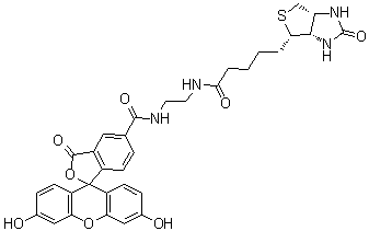 生物素-4-荧光素分子结构 (CAS 1032732-74-3)