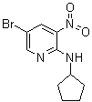 5-溴-N-环戊基-3-硝基-2-吡啶胺分子结构 (CAS 1033202-53-7)