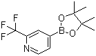 结构式 CAS# 1036990-42-7, 2-三氟甲基吡啶-4-硼酸频哪醇酯