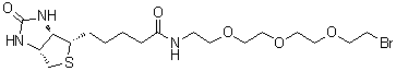 (3aS,4S,6aR)-N-[2-[2-[2-(2-Bromoethoxy)ethoxy]ethoxy]ethyl]hexahydro-2-oxo-1H-thieno[3,4-d]imidazole-4-pentanamide molecular structure (CAS 1041766-91-9)