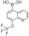 [8-(Trifluoromethoxy)-5-quinolinyl]boronic acid molecular structure (CAS 1072951-46-2)