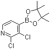 2,3-Dichloropyridine-4-boronic acid pinacol ester molecular structure (CAS 1073353-78-2)