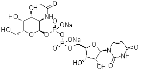 尿苷 5'-(三氢二磷酸酯) P'-[2-(乙酰氨基)-2-脱氧-alpha-D-吡喃半乳糖基]酯二钠盐分子结构 (CAS 108320-87-2)