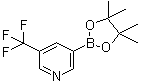 5-Trifluoromethylpyridine-3-boronic acid pinacol ester molecular structure (CAS 1084953-47-8)
