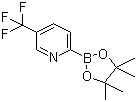 5-(Trifluoromethyl)pyridine-2-boronic acid pinacol ester molecular structure (CAS 1101205-23-5)