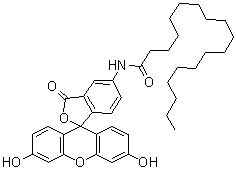 5-N-(Octadecanoyl)aminofluorescein molecular structure (CAS 110698-53-8)