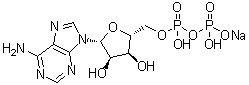 Adenosine-5'-diphosphate monosodium salt molecular structure (CAS 1172-42-5)