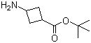 structure of CAS# 1173205-83-8, 3-Aminocyclobutanecarboxylic acid tert-butyl ester