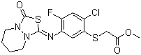 Fluthiacet-methyl molecular structure (CAS 117337-19-6)