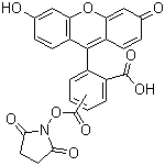 结构式 CAS# 117548-22-8, 5(6)-羧基荧光素琥珀酰亚胺酯