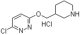 3-Chloro-6-(3-piperidinylmethoxy)pyridazine hydrochloride molecular structure (CAS 1185311-75-4)