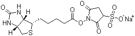 Biotin 3-sulfo-N-hydroxysuccinimide ester sodium salt molecular structure (CAS 119616-38-5)
