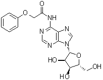 structure of CAS# 119824-65-6, N-(Phenoxyacetyl)adenosine