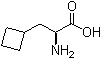 (alphaS)-alpha-氨基环丁烷丙酸分子结构 (CAS 1201593-65-8)
