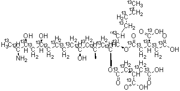 Fumonisin B1-<sup>13</sup>C<sub>34</sub> molecular structure (CAS 1217458-62-2)