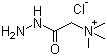 吉拉尔特试剂 T分子结构 (CAS 123-46-6)