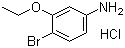 4-Bromo-3-ethoxyaniline hydrochloride molecular structure (CAS 125756-95-8)