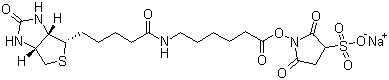 Sulfosuccinimidyl 6-(biotinamido)hexanoate sodium salt molecular structure (CAS 127062-22-0)