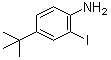 2-Iodo-4-tert-butylaniline molecular structure (CAS 128318-63-8)