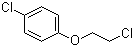 structure of CAS# 13001-28-0, 1-Chloro-4-(2-chloroethoxy)benzene
