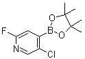 5-Chloro-2-fluoro-4-(4,4,5,5-tetramethyl-1,3,2-dioxaborolan-2-yl)pyridine molecular structure (CAS 1310383-58-4)