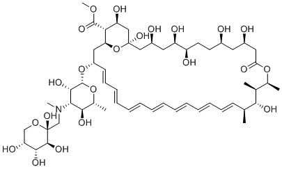 [1,3-Bis(2,6-diisopropylphenyl)-1,3-dihydro-2H-imidazol-2-ylidene](dichloro)(1-methyl-1H-imidazole-?N3)palladium molecular structure (CAS 1314876-23-7)