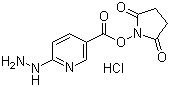 Succinimidyl 6-hydrazinonicotinate hydrochloride molecular structure (CAS 133081-27-3)