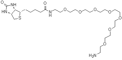 (3aS,4S,6aR)-N-(23-Amino-3,6,9,12,15,18,21-heptaoxatricos-1-yl)hexahydro-2-oxo-1H-thieno[3,4-d]imidazole-4-pentanamide molecular structure (CAS 1334172-76-7)