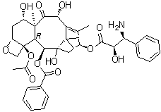 10-Desacetyl-N-debenzoylpaclitaxel molecular structure (CAS 133524-69-3)