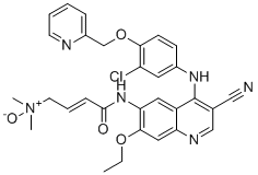 Neratinib dimethylamine N-oxide molecular structure (CAS 1376615-55-2)