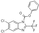 structure of CAS# 14255-88-0, Fenoflurazole;5,6-Dichloro-1-phenoxycarbonyl-2-trifluoromethylbenzimidazole; Fenazaflor; Lovozal; NC 5016; Phenyl 5,6-dichloro-2-trifluoromethyl-1-benzimidazolecarboxylate